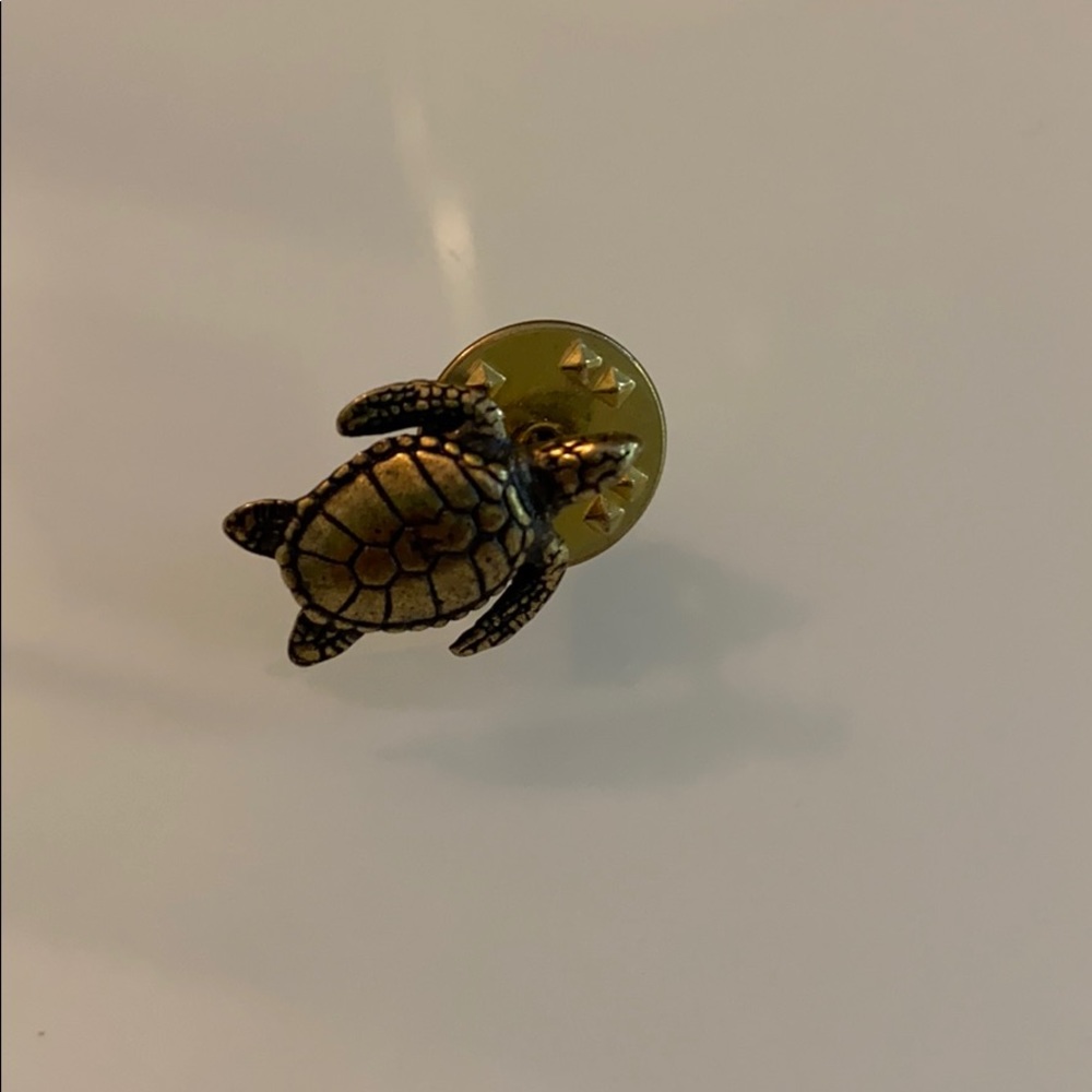 Small Turtle Pin